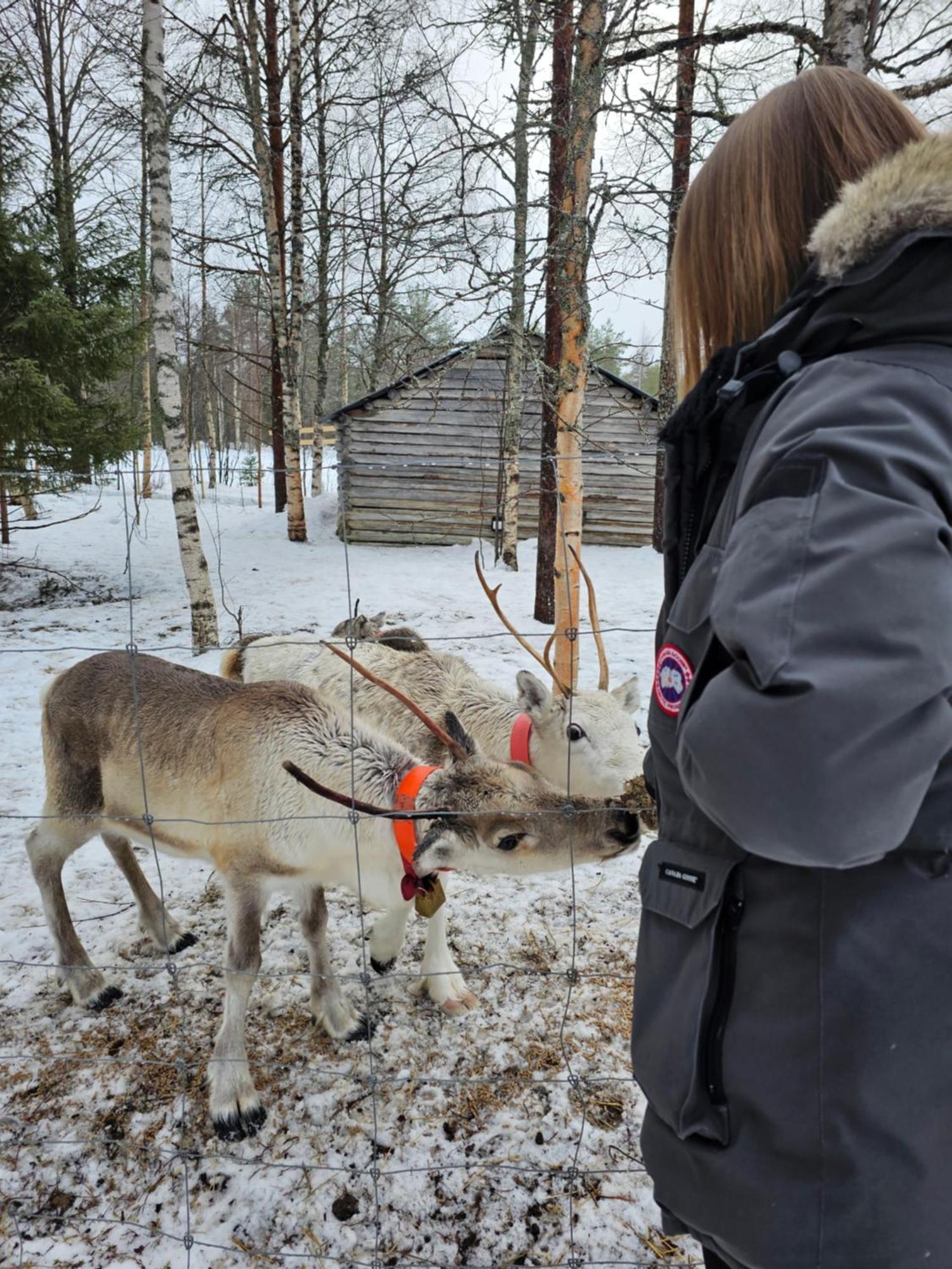 Villa Kuulas Saaskilahti Bagian luar foto